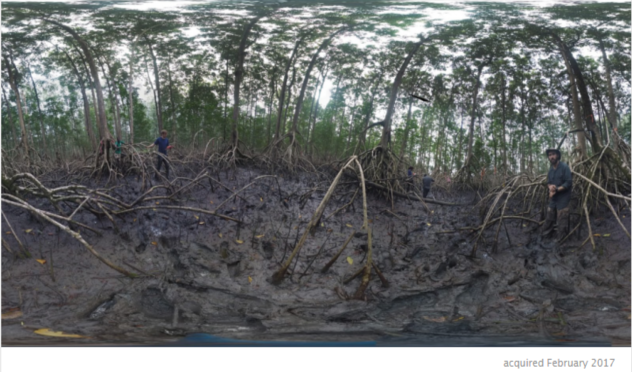 Pongara National Park Mangroves